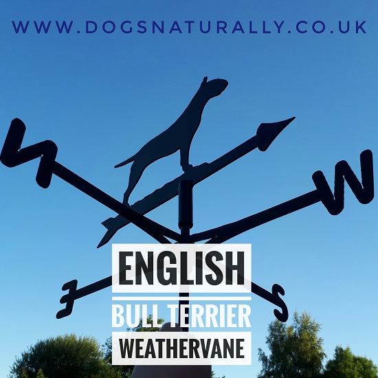 English Bull Terrier Weather Vane